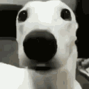 aleks.aleks