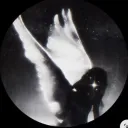 dnrdd avatar