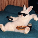 avatar Bunny