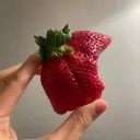enh_