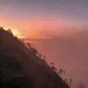 ansdev