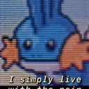 totallynotvvrj5016