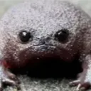 sparkylews avatar