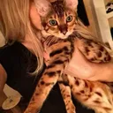 allegra77