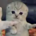 kietu34