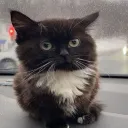 Аватар iroslavv