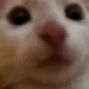 chico_sandia
