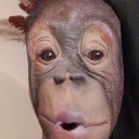 cyrilplop