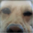tigo_7