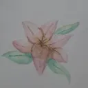 luizotavio6135