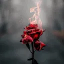 lordtarathiel2341