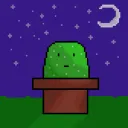 cactus596