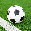 cicciobongo#0296's avatar