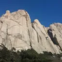 ark_stone