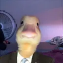 pigeonslayer