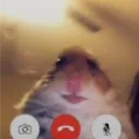 alexanderwiththebigassforehead