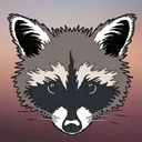 raccooness