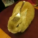 crunhc