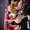 avatar gamboiuwu🐉