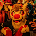 avatar gamboiuwu🐉