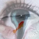 ariaxwynter's Profile Picture