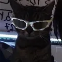 beauhobi