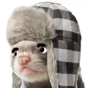 epicnoodle14.