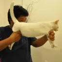 lolfazenoob3869