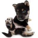 avatar cece cecelavie