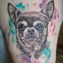 brina_von_sadi