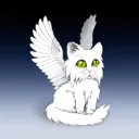 sylwira