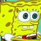 spongeboob27812712
