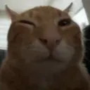 krftn
