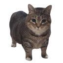 /assets/new/default_avatar-fcd562686c5511f2d561ecf4fff7f6a7dcf6df7268f46e15455f9d2ab139441c.png