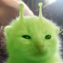 2a470ece12b61ba87962d79fc3f1deea