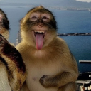 i_m_not_dawbeny#9494's avatar