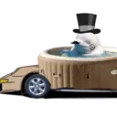 somerandombeluga