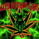 tinydawg509