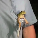 avatar 𝑁𝑖𝑘𝑎🌿🤍