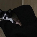 avatar .yvng_xdevekx