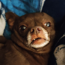 avatar ToastyBurrito