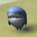 littlesharkie