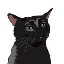andrewdex