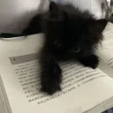 Аватар fluffyy______