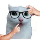 什口们乙人's Avatar