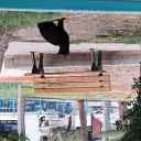 avatar Kül was here