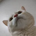 gmubin