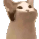 exochespin389. avatar