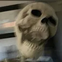 ectogrey