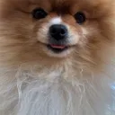 chubchubbychub